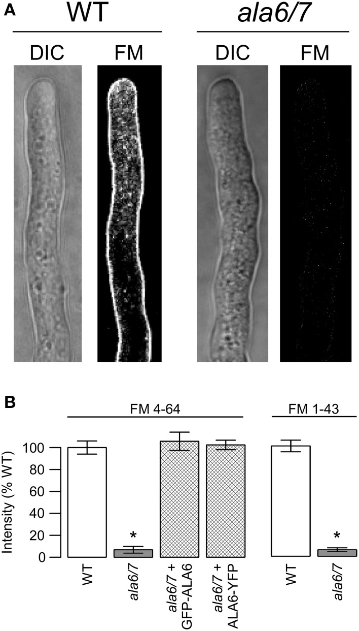 Figure 7