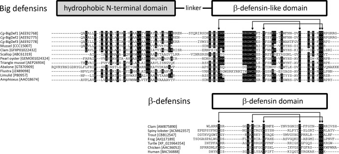 FIG 1