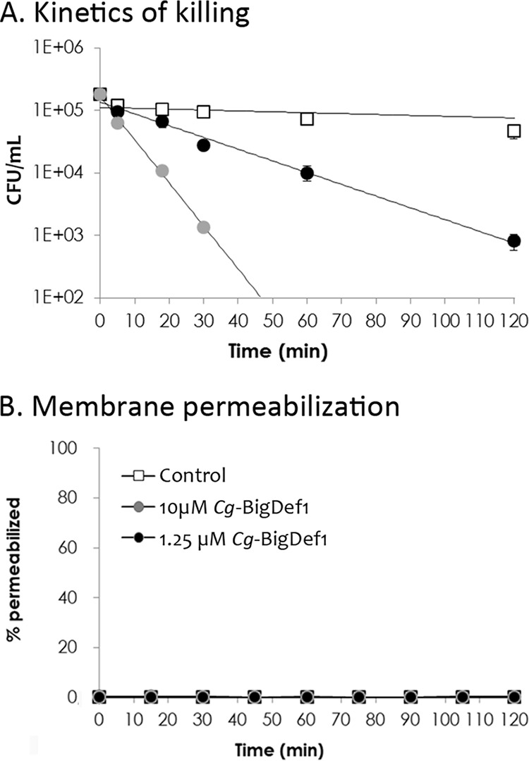 FIG 5