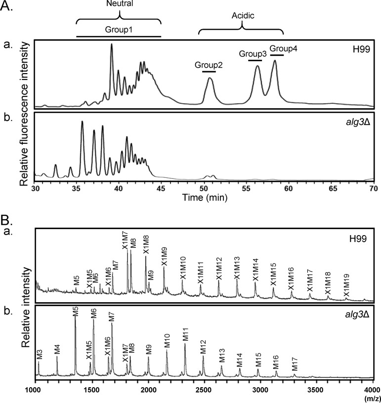 FIG 2