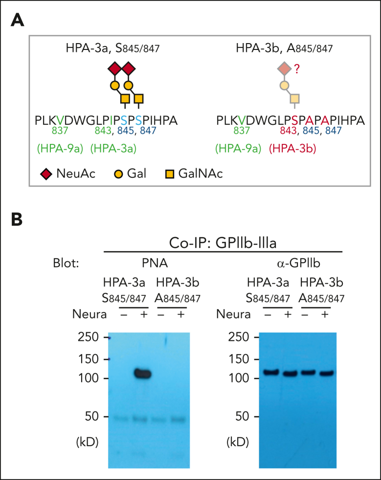 Figure 4.