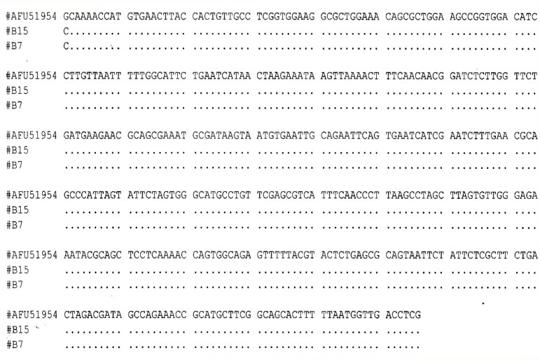 Figure 1: