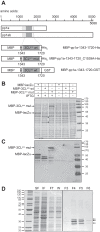 FIG 1