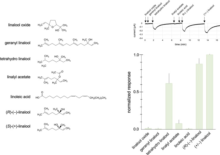 Fig 6