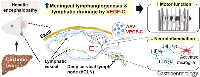 graphic file with name nihms-1648459-f0001.jpg