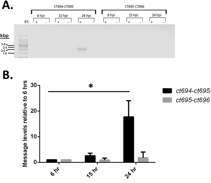 Fig 2