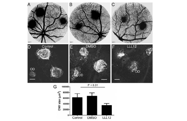 Fig. (8)