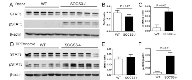 Fig. (5)