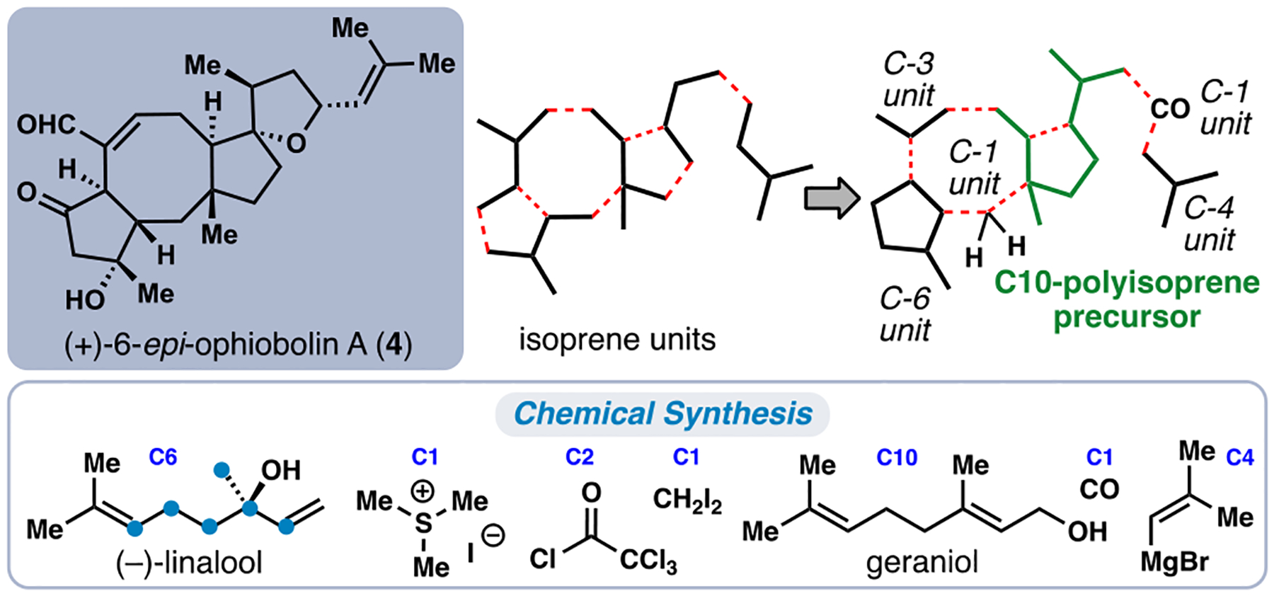 Figure 5.