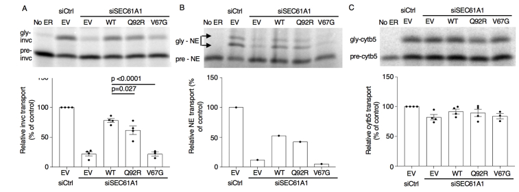 Fig E3