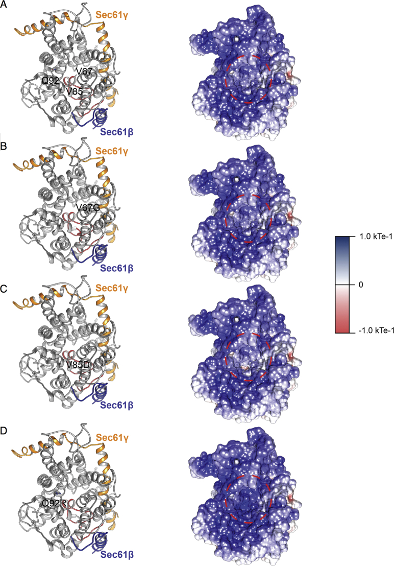 Fig E2