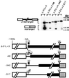 FIG. 5