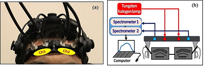 Fig. 1