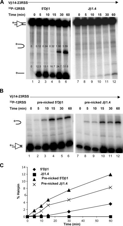 FIG. 5.