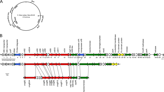 FIG. 3.