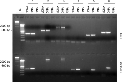 FIG. 5.