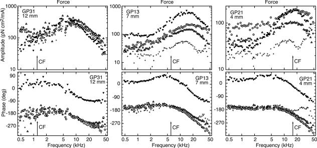 Fig. 3.