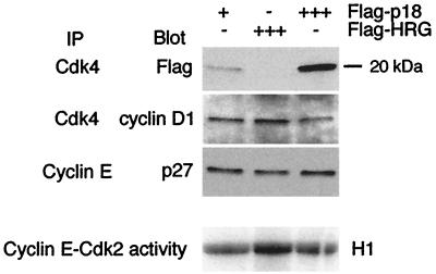 FIG. 8