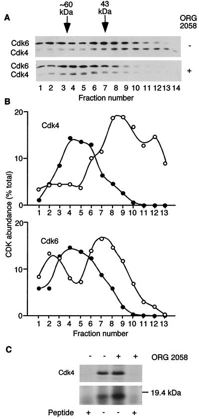 FIG. 6