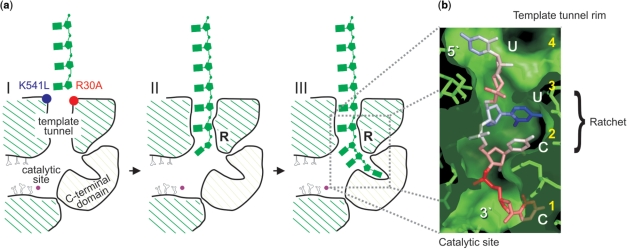 Figure 5.