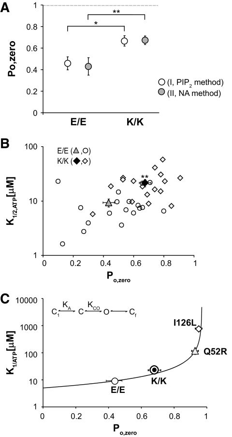 FIG. 5