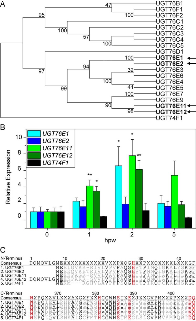 Figure 1.