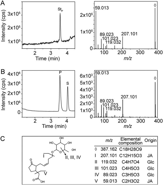 Figure 3.