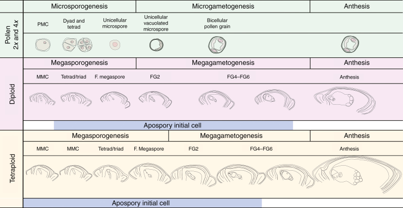 Fig. 7.