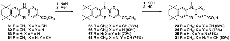 Scheme 8