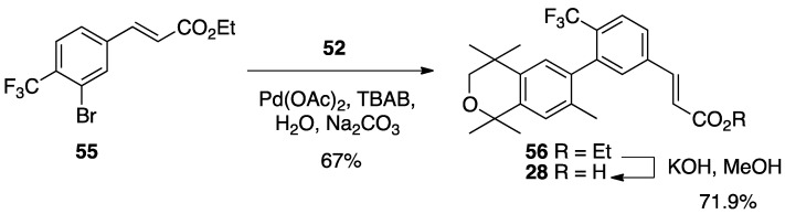 Scheme 5