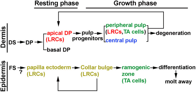 Fig. 8.