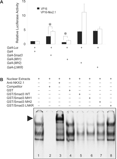 Figure 5.