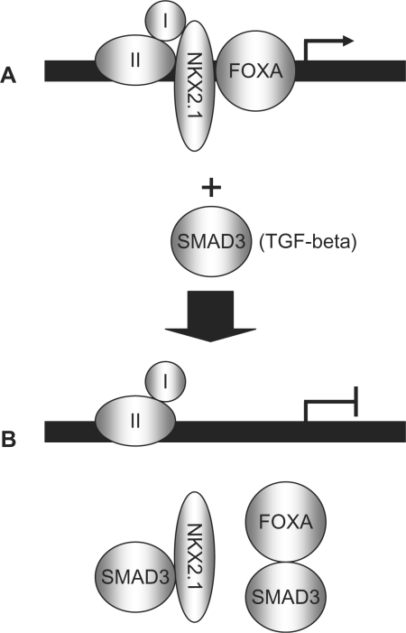 Figure 9.