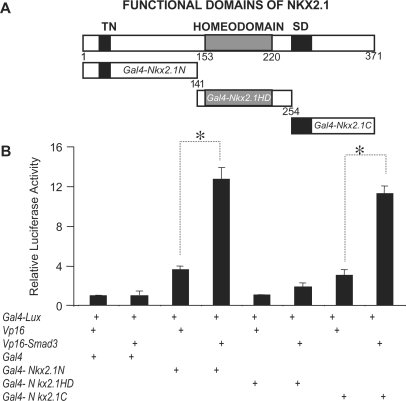 Figure 3.