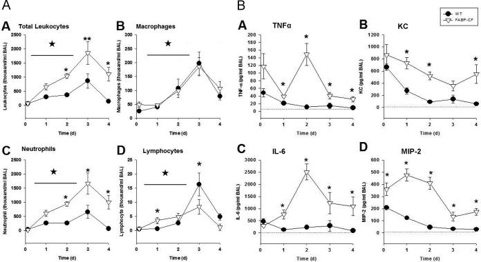 FIG 2