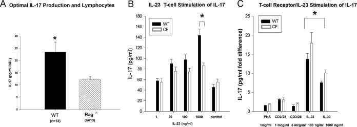 FIG 5