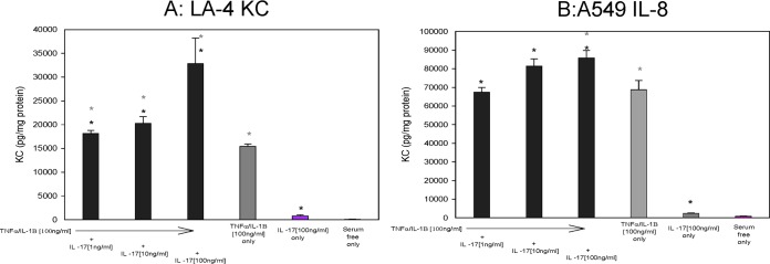 FIG 6