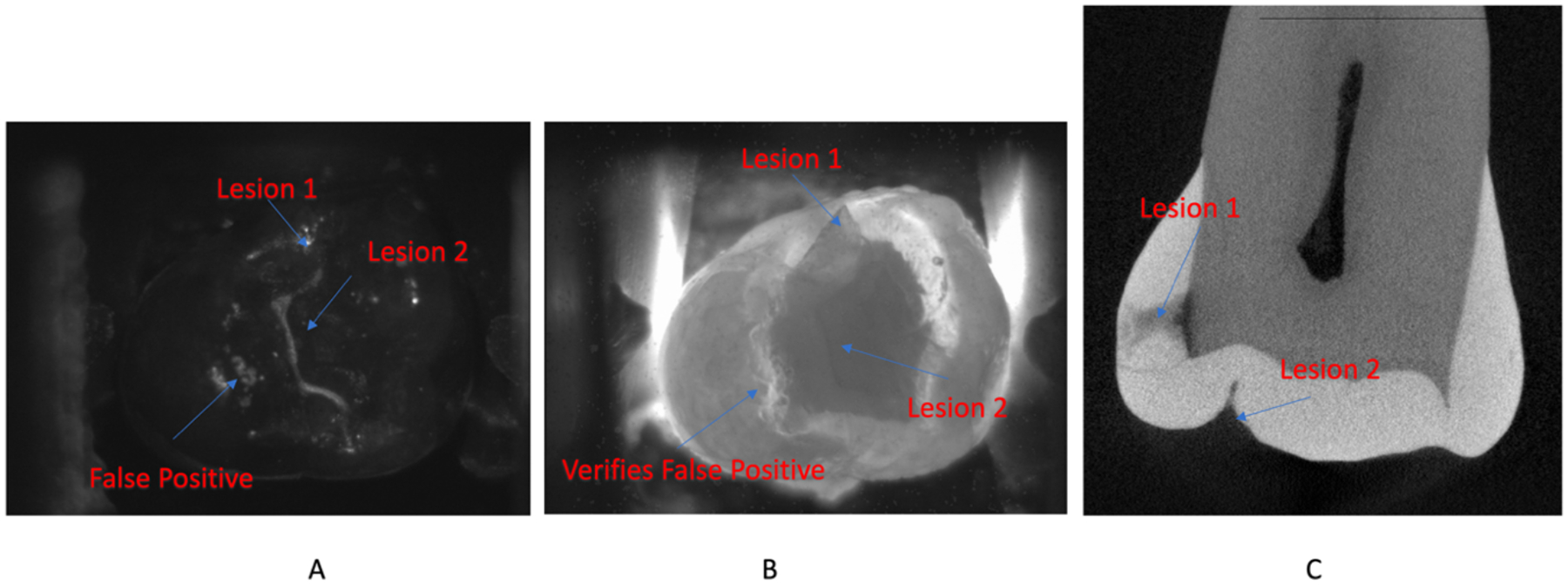 Fig 7.