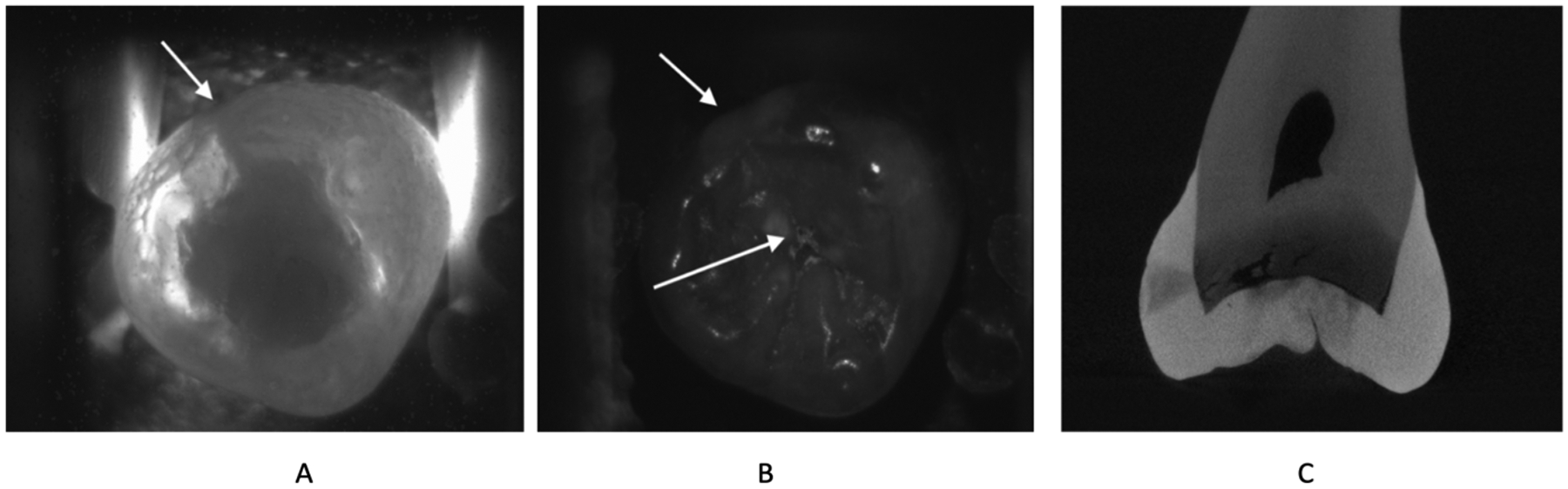 Fig 6.