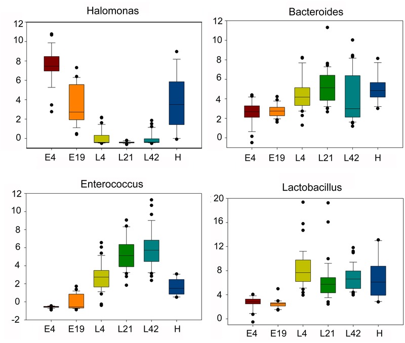 FIGURE 3