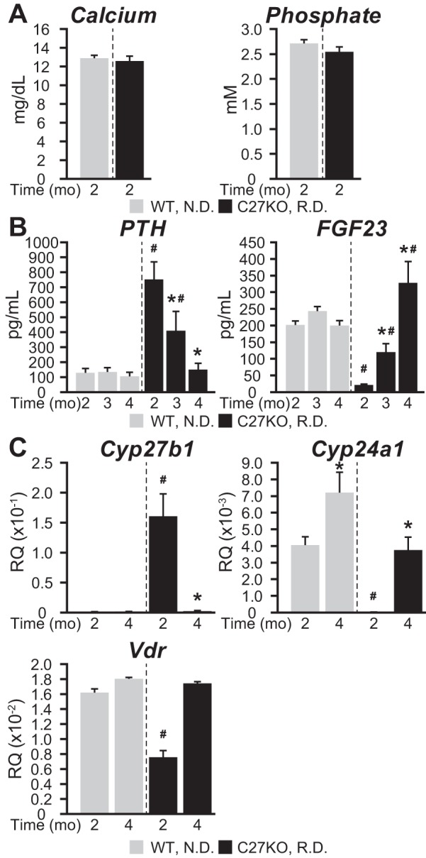 Figure 7.