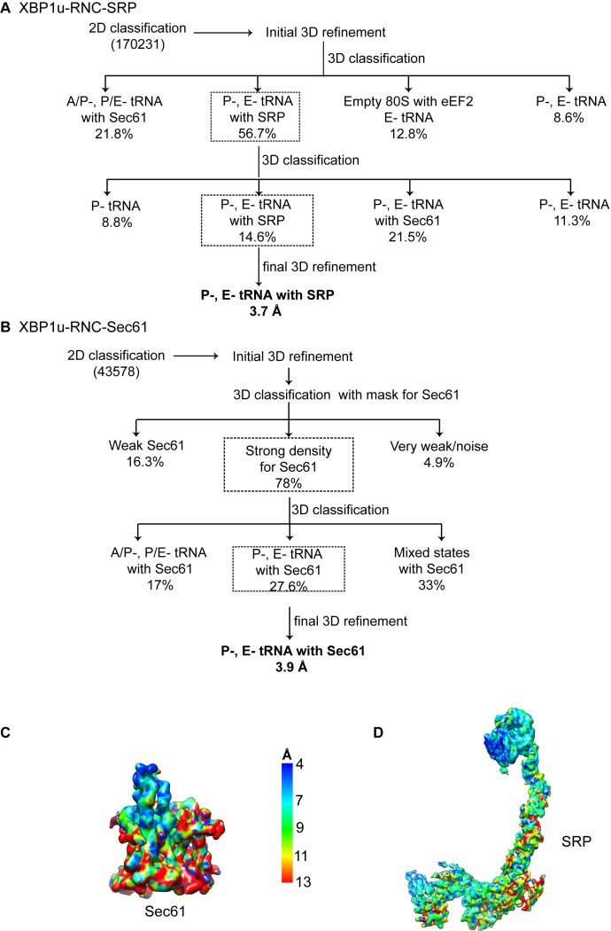 Figure 5—figure supplement 1.