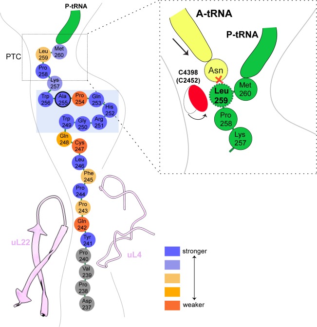 Figure 7.