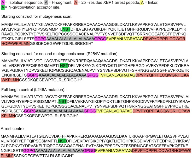 Figure 6—figure supplement 1.