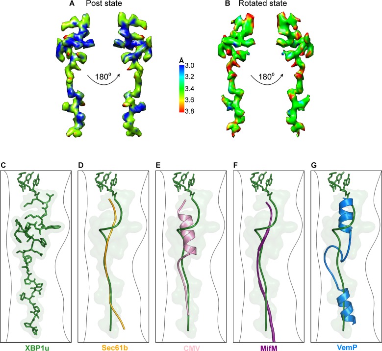 Figure 2—figure supplement 3.