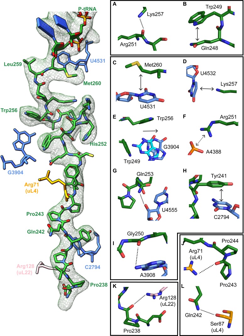 Figure 3.