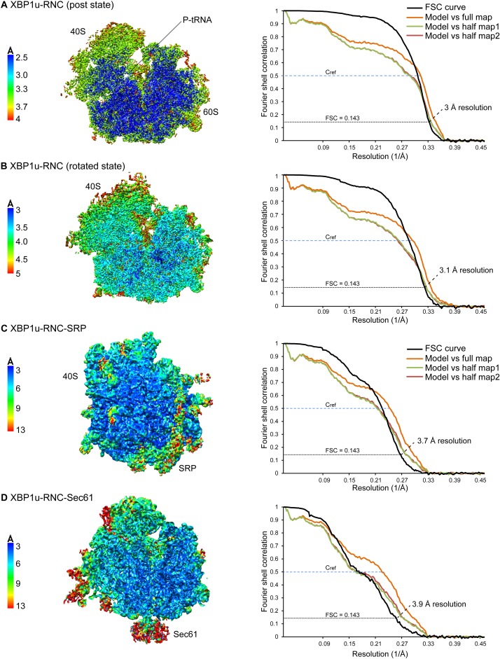 Figure 2—figure supplement 2.