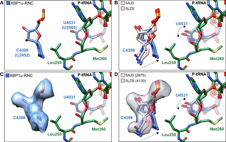 Figure 4—figure supplement 1.