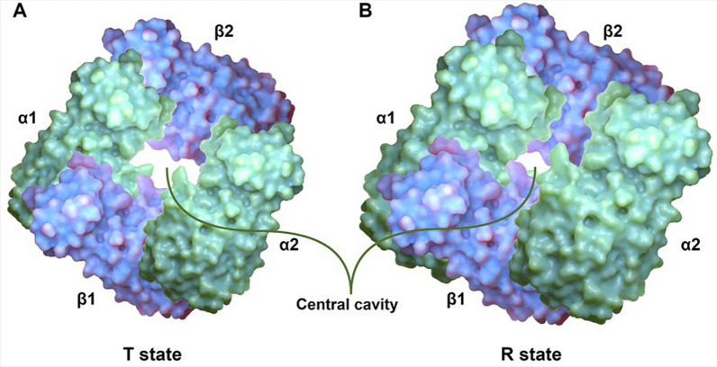 Fig. 1