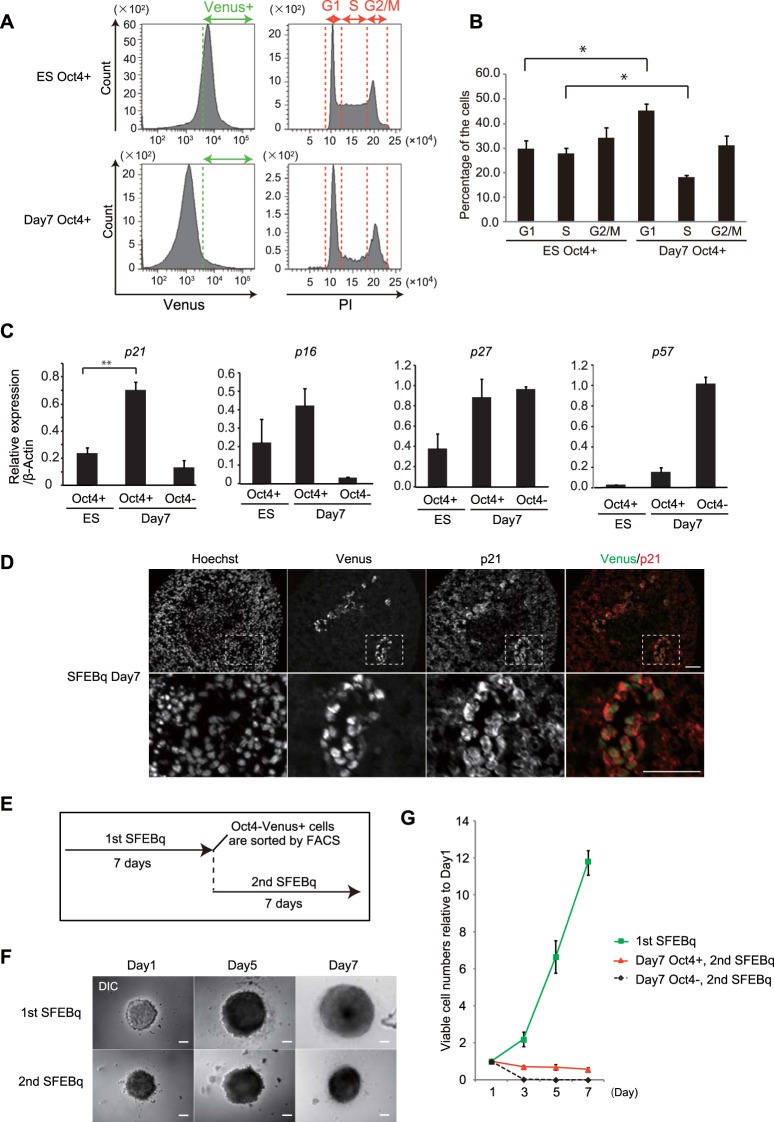 FIG 3